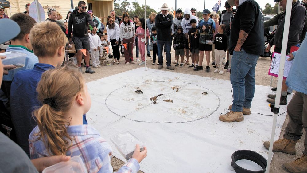Yabby Races pull Big Crowd for Moulamein Pre-school post image