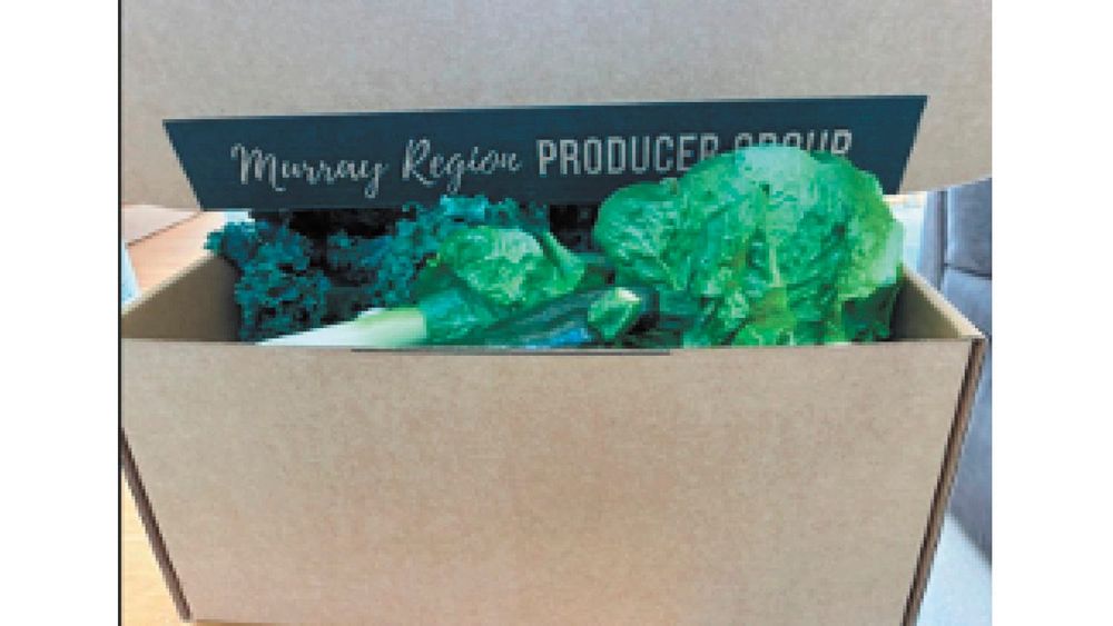 Introducing the Murray Region Producers Group: From Concept to Community Impact post image