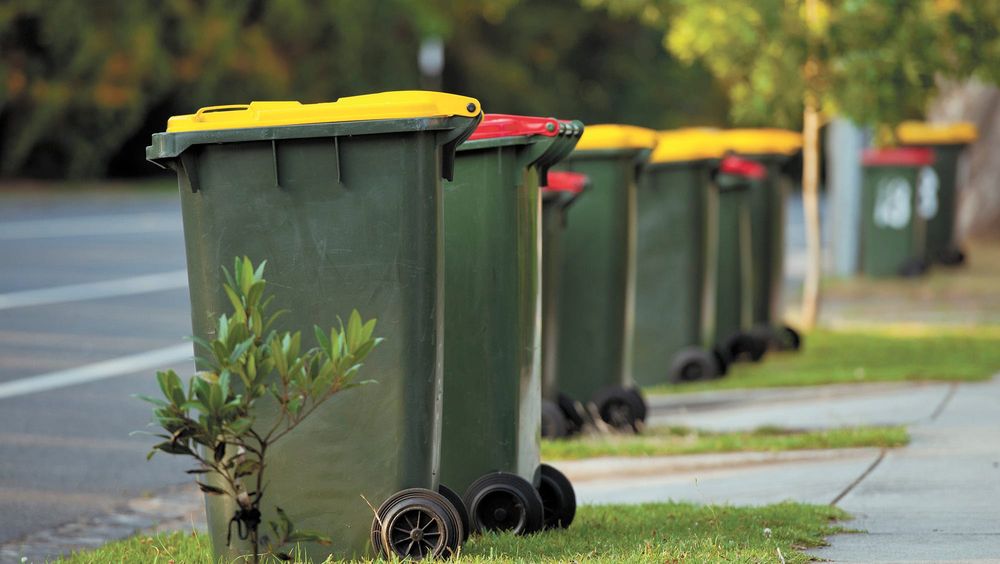 Councils seek pause on glass-only bins post image