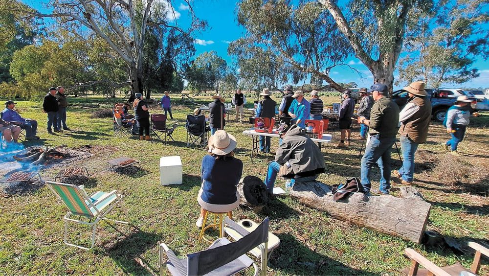 Pasture to Plate highlights biodiversity post image