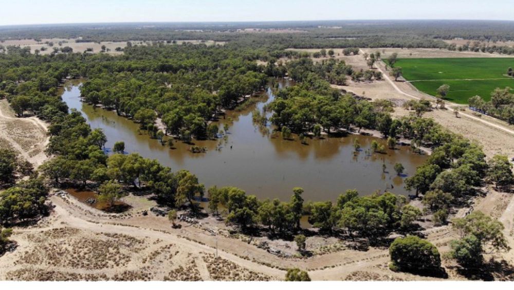 Western Murray Landholders invited to Explore Carbon and Biodiversity Opportunities post image