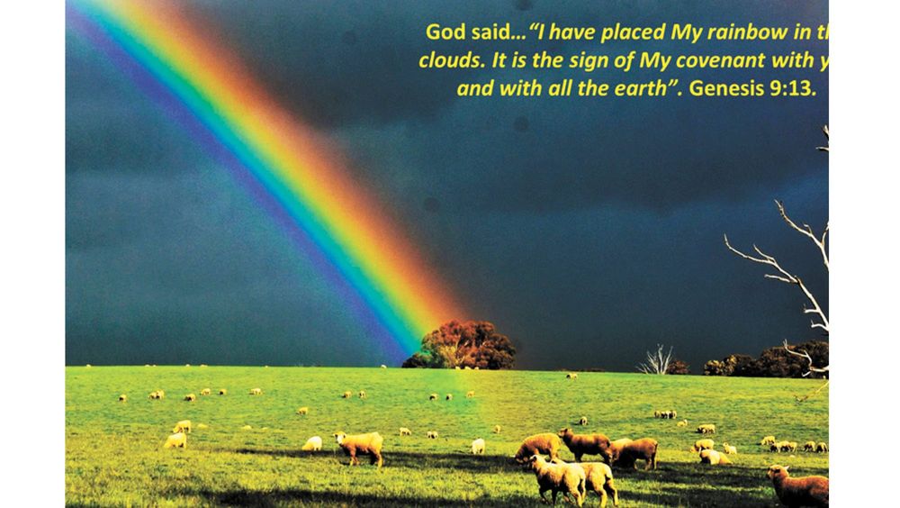 There’s rainbow! post image