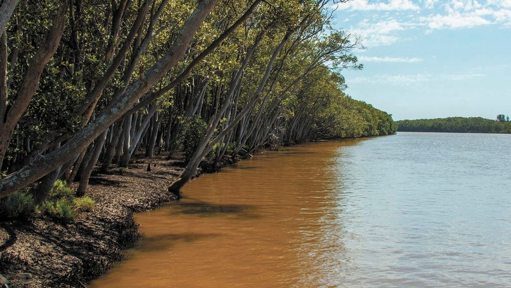 Opening Water Allocations reflect Variable Conditions across NSW post image