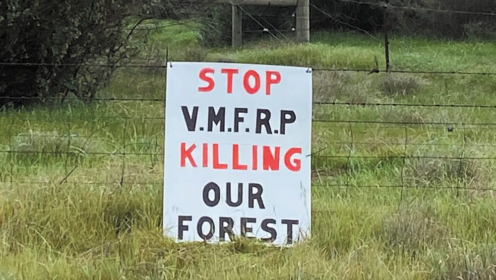 Public hearing begins into Murray floodplain projects post image