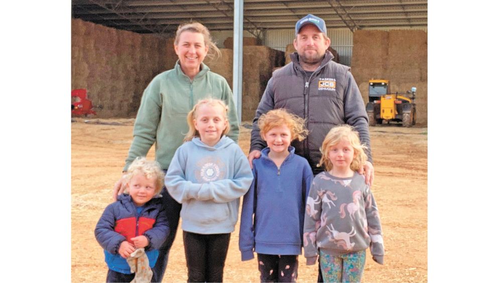 Normanville Energy Park approved post image