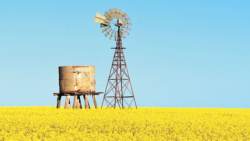 The Sights and Sounds of Spring post image
