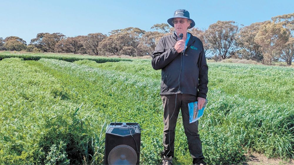 Irrigation research field day set for Kerang post image