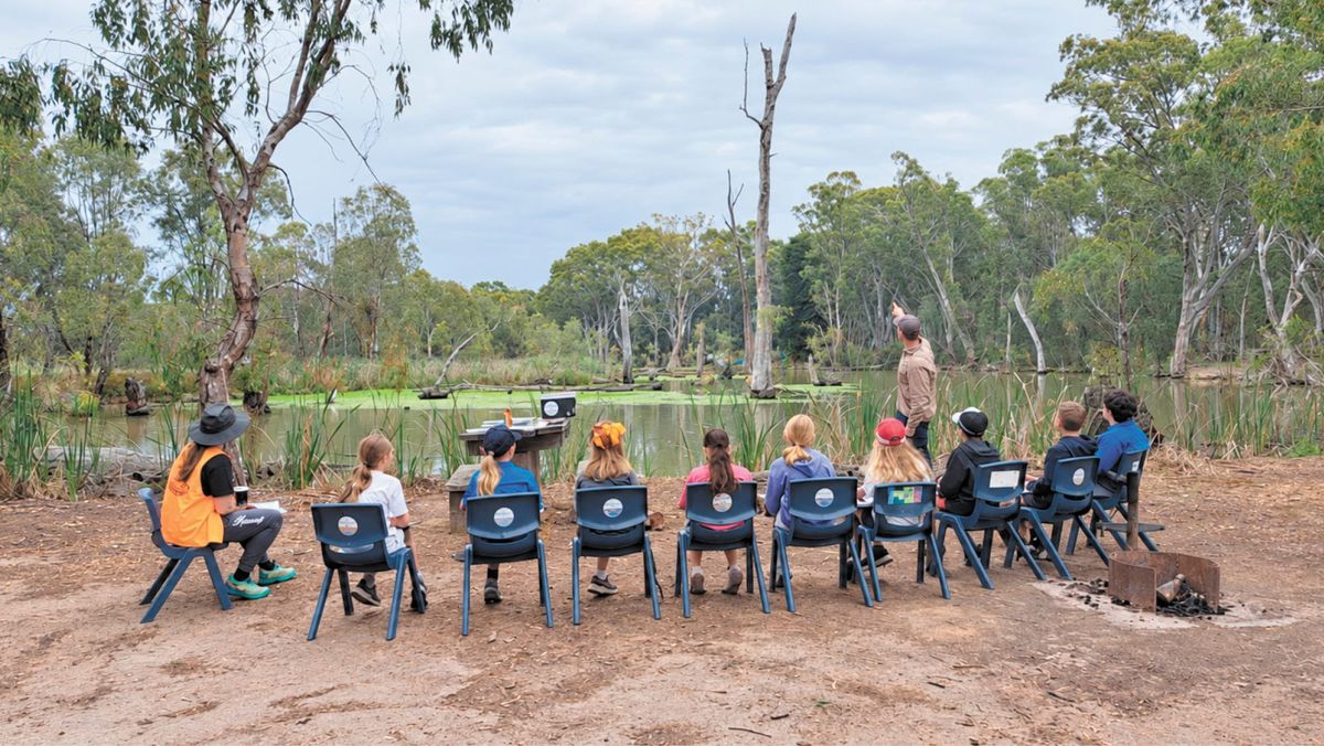 Forest fun gets kids back to nature