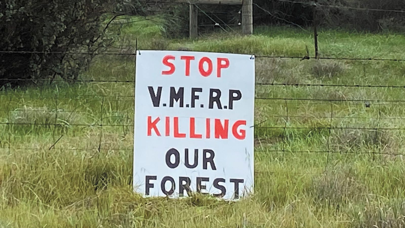 Public hearing begins into Murray floodplain projects post image