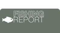 Fishing Report -1 October, 2026 post image