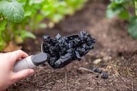 Biochar workshop for local farmer post image