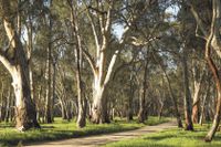 Timber Towns Victoria Takes Roads, Fire and Forests to Gannawarra post image