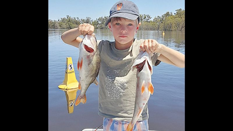 Fishing Report - February 15, 2024 post image