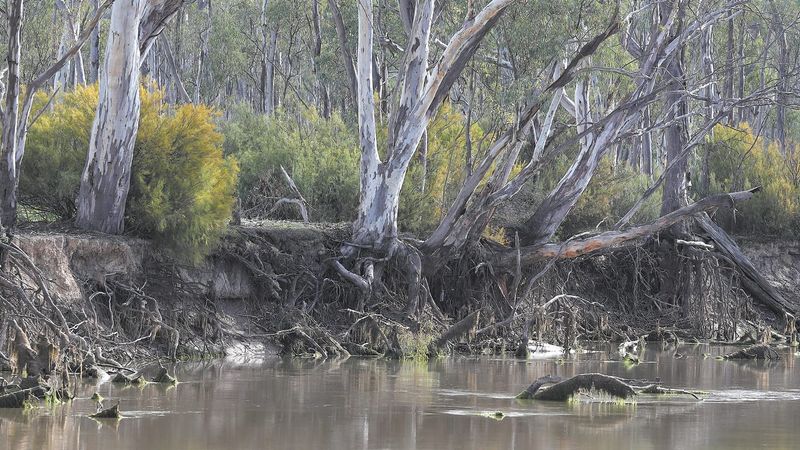 Taxpayer Funded Water Trading post image