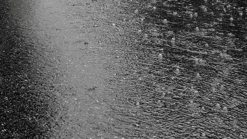 Rain Reigns Supreme post image
