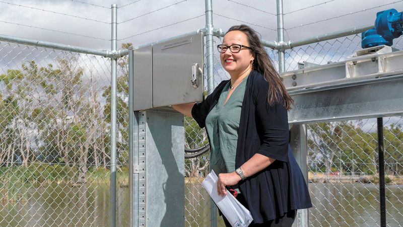 Gates Open At Koondrook And Cohuna Fishways post image