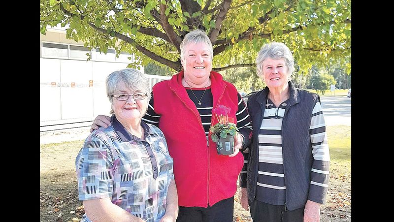 Di Takes Champion Title post image