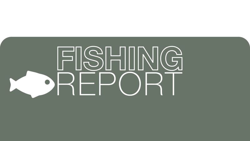 Fishing Report - February 23, 2023 post image