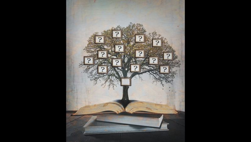 Starting Your Family Tree post image