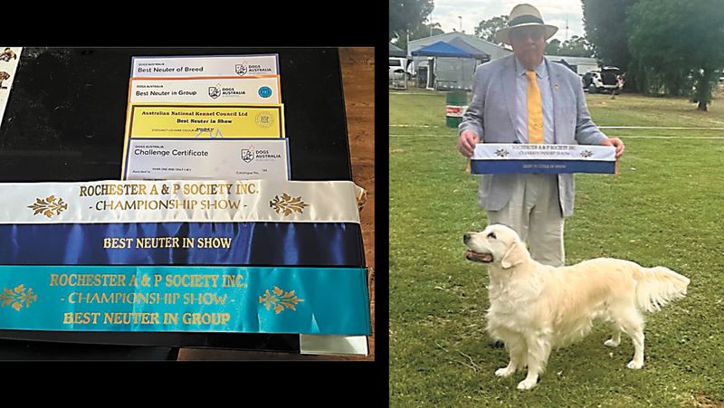 Local Win Supports Town Recovery post image