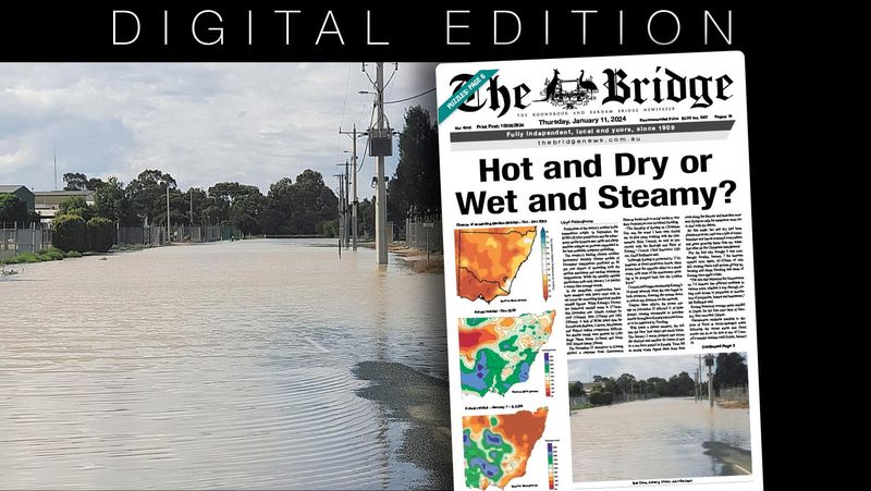 Thursday, January 11, 2024 post image