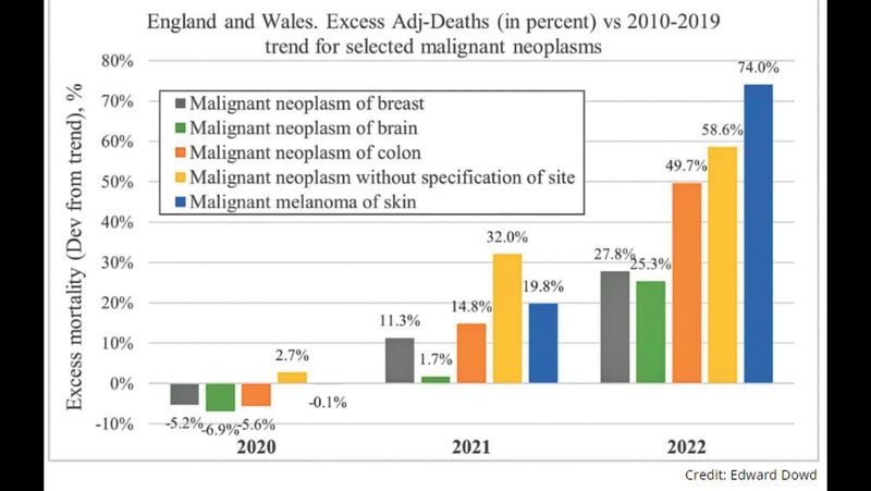 “These Were Not Vaccines; These Were Horrible Gene Therapies” post image