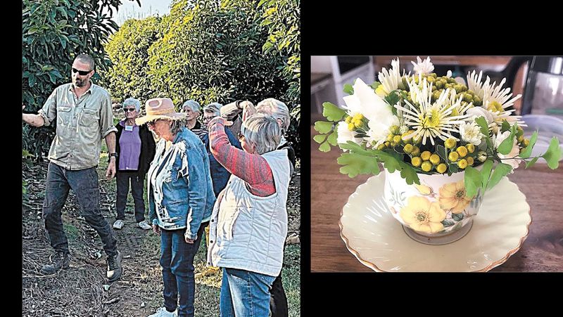 Garden Society - May 23, 2024 post image