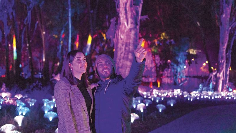 Moama Lights is on Again post image