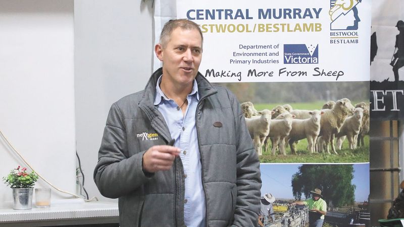 Ewe See What’s Going On Here? post image