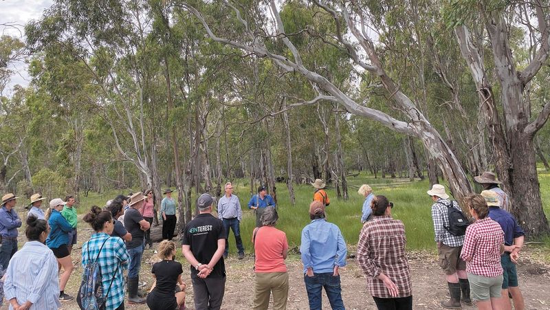 Pollack Wetlands Indigenous Food & Fibre Day post image