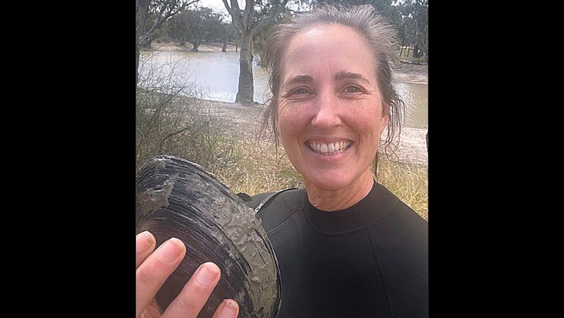 Where have all the mussels gone? post image