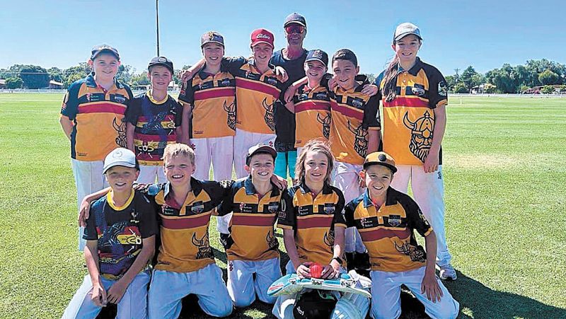 Cricket Finals Fever post image