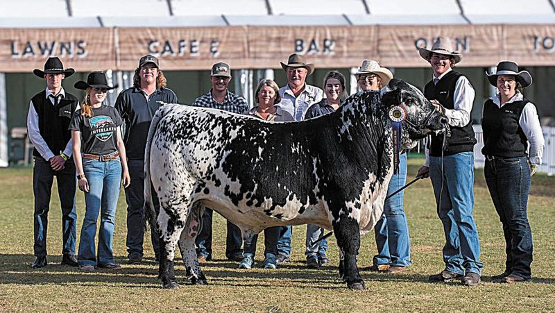 Dair-y say it, we’re not beefing anything up here post image