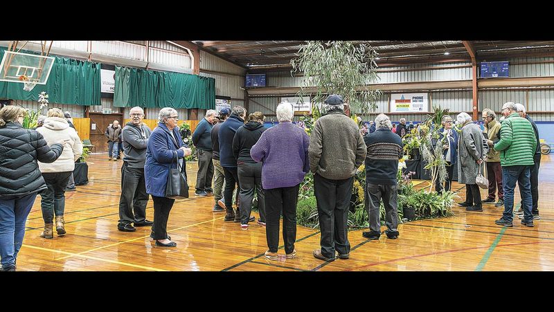 In Full Bloom post image