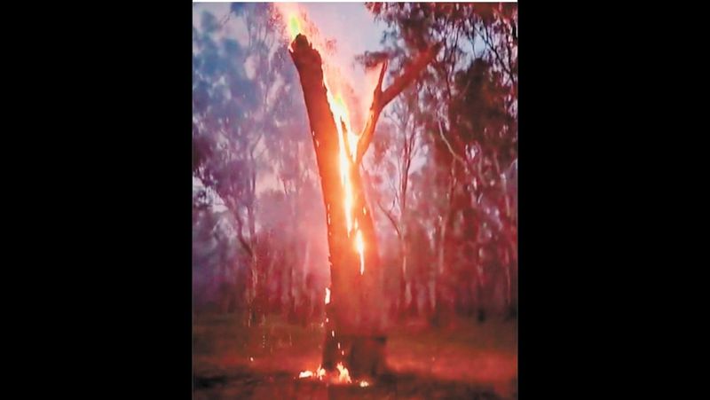 Burning Questions post image