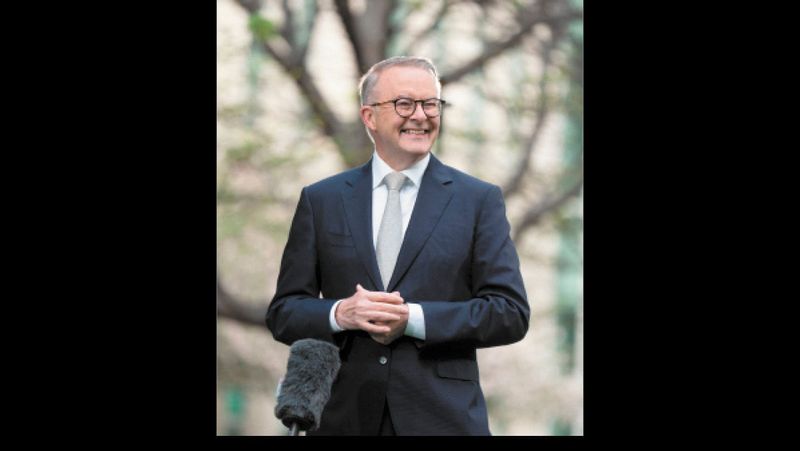 Opinion - Albo and the Ministry of Truth post image
