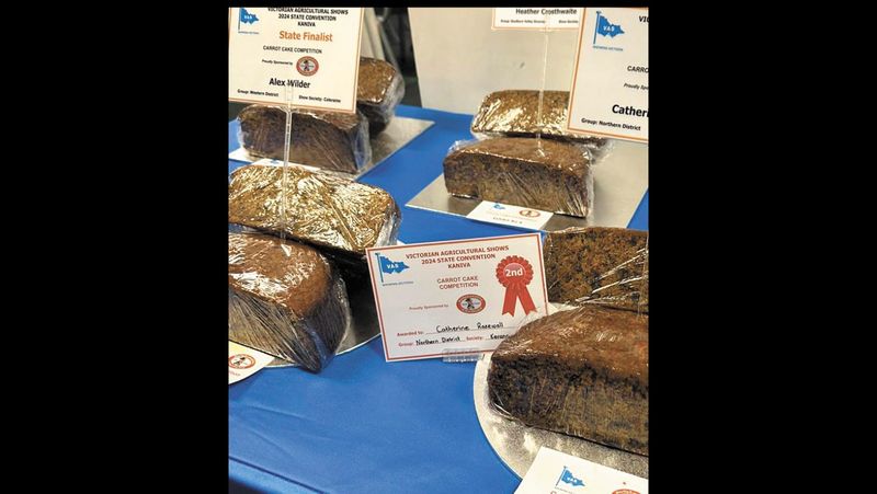 Catherine Continues Success at State Level post image