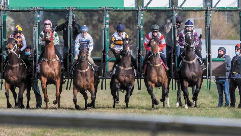 Ready for Spring Racing post image