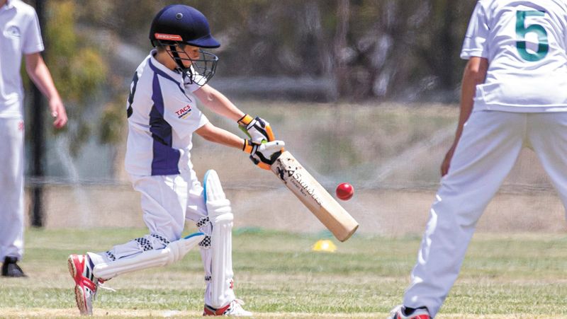 Swan Hill Defeats Northern District U13s Cricket post image