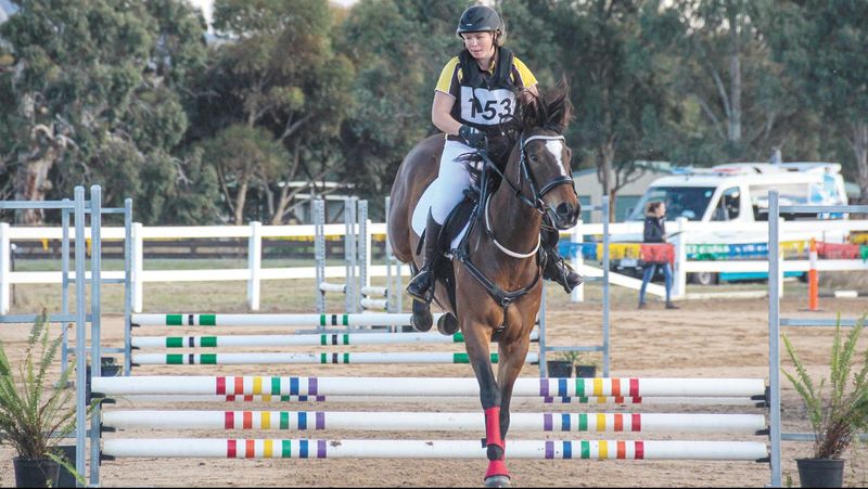 King-Gee in Team Horse Trials post image