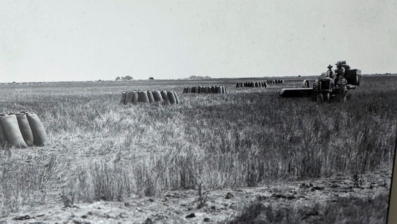 Killing in the Name of: How Coorong’s Don’t Make a Right post image