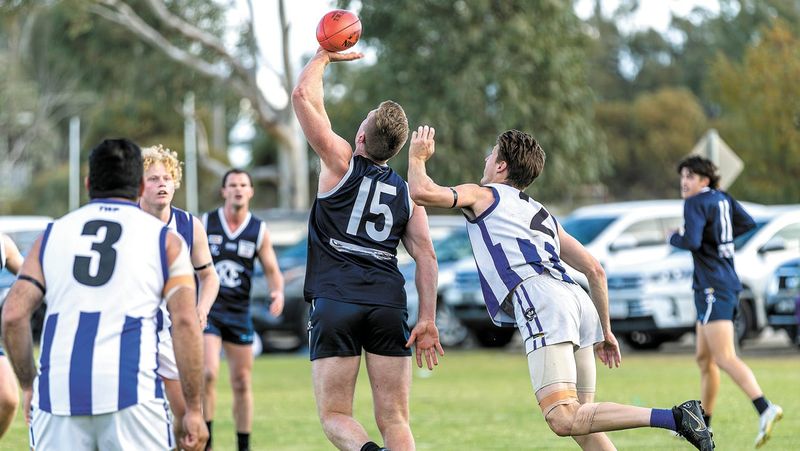 Blues Undefeated post image