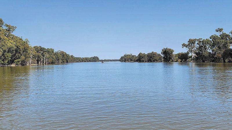 Mighty Murray post image