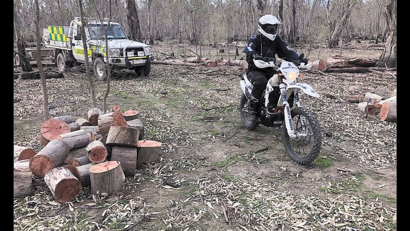 Winter warning for firewood sales post image