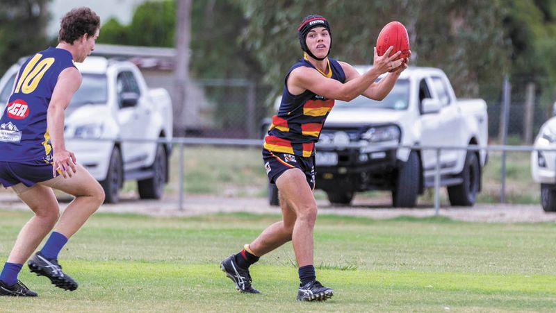 Locals Set for Pioneer Debut post image