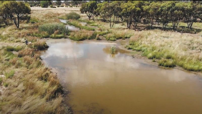 Carbon Deals Catch Delta Feel post image