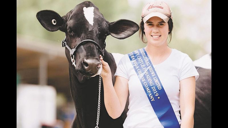 Sieben Dairy Parade Finalist post image