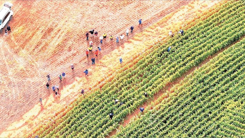 Irrigation Innovation Farm Tour strikes the right chord post image