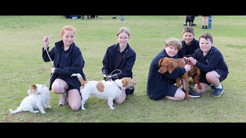 Pets Blessed post image