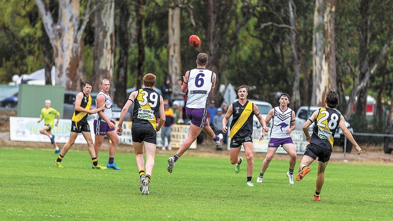 Kangas Found Wanting post image